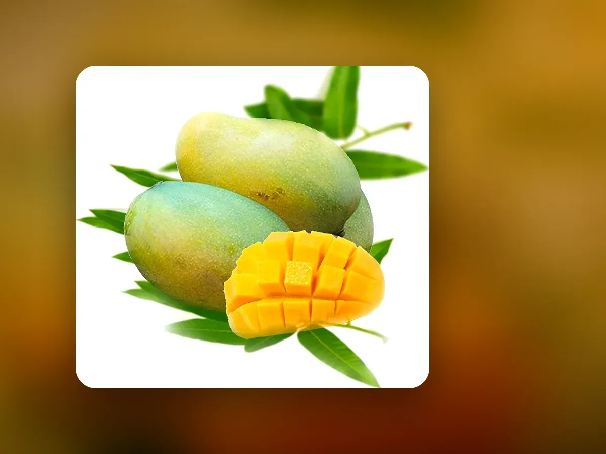 সিজনের আম — জাত ও ওজন বেছে প্রি-অর্ডার করুন